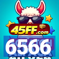 6566
