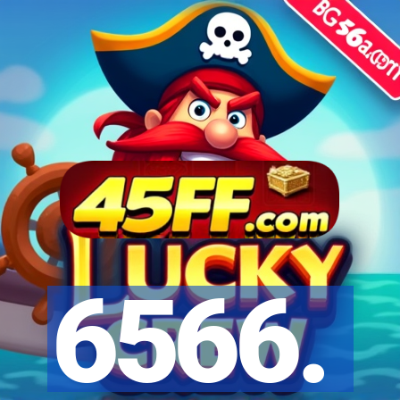 6566.