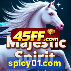spicy01.com